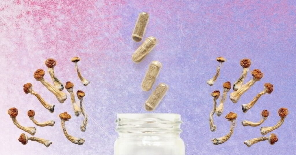 Why You Should Be Micro-dosing Psilocybin Starting Yesterday