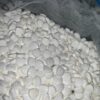 Dilaudid / Hydromorphone 8 mg